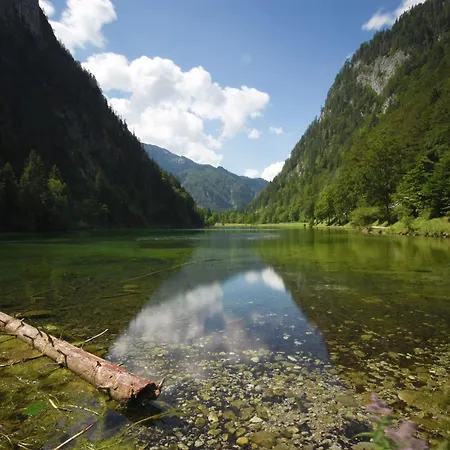 Beautiful Flat In With Pool Ruhpolding